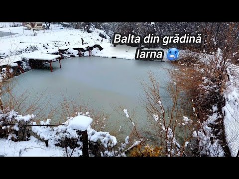 My pond in the garden in winter - The water froze and the first snow - Water source ' - Tips