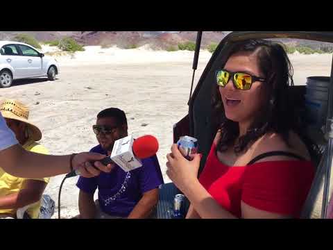 Cocos y playas en Baja California Sur