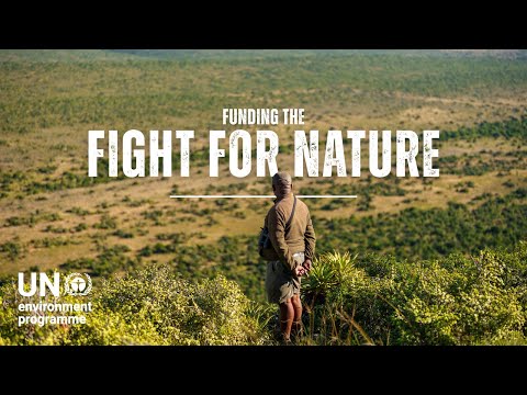 We’re funding nature’s decline. Here’s how to turn it around.