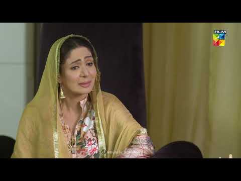 Jin Bacho Ko Mein Ne Apni Goad Mein Paala Wohi Abb - Roag - HUM TV Drama