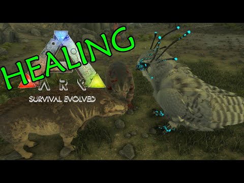 Dino Healing Comparisons + Daeodon Feeding Guide | ARK Survival Evolved
