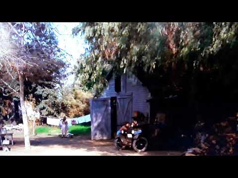 The Return (John-Boy Comes Home)