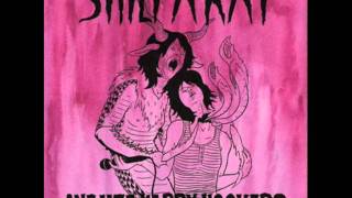 Shilpa Ray & Her Happy Hookers- "Heaven in Stereo"
