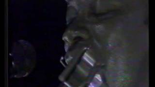 Milton Nascimento - Aliança dos povos da floresta