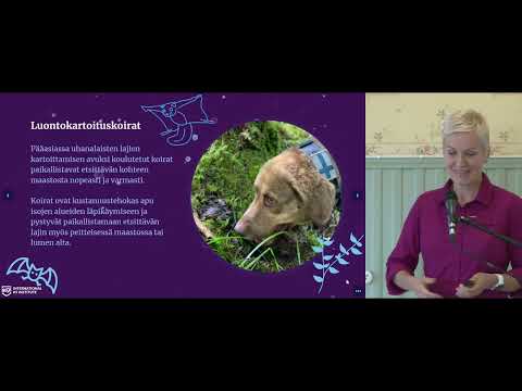 Liito-orava-LIFE: Koirien käyttö liito-oravakartoituksessa – työpajatallenne osa 2