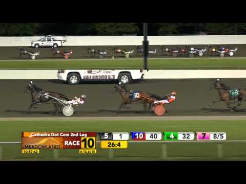 Meadowlands June 12, 2015 - Race 10 - That Woman Hanover