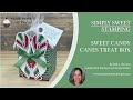 Sweet Candy Canes Treat Box