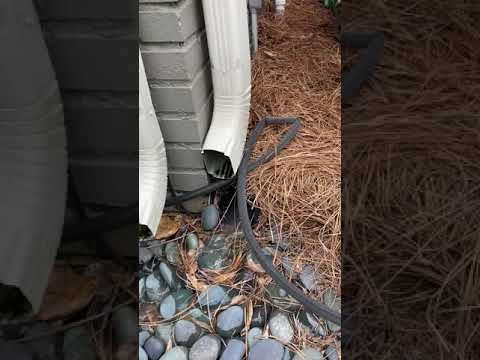 Water Flowing out of Sump Pump in Crawlspace in McComb, MS