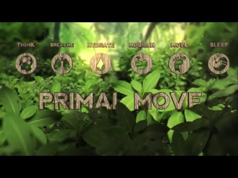 Video Animation Introduction - 6 Principles