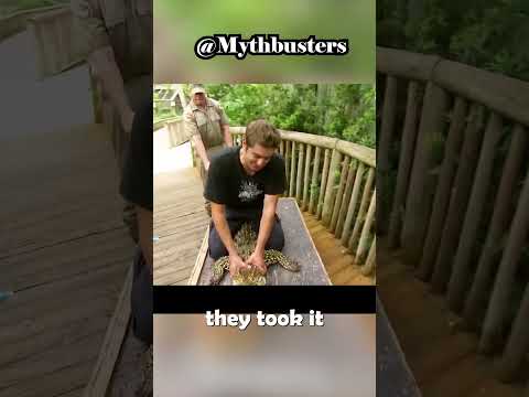 run in a zigzag pattern