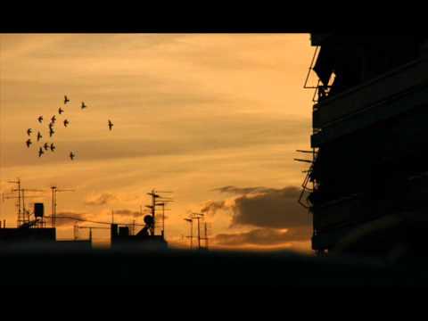 Pavel Dovgal feat. Vehovski - Blue Phoenix