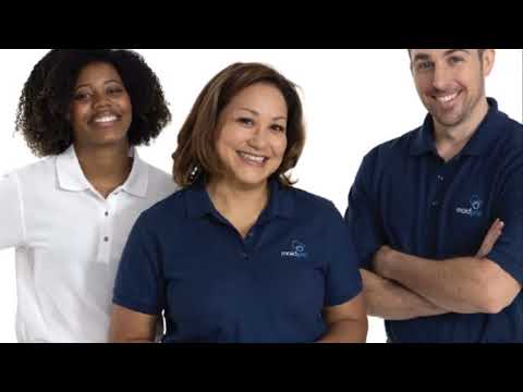 Experience The Magic Maidprotampabay