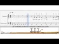 Conchita Wurst - Up For Air - How To Play Trumpet ...
