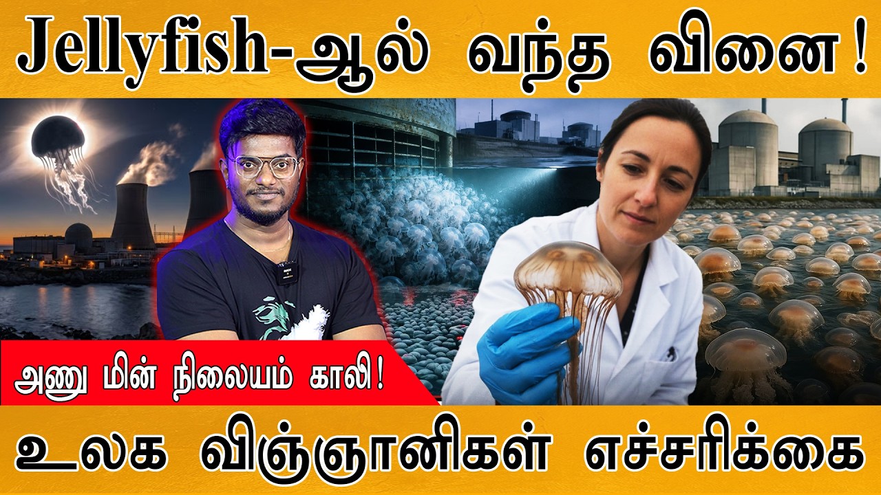 Jellyfish-ஆல் வந்த வினை | அணு மின் நிலையம் காலி | France | Karthick MaayaKumar | E