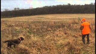 Bill and Mike, Pheasant and Chukar Hunt