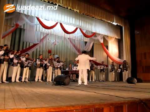 Ion Paladi şi Lăutarii.mp4