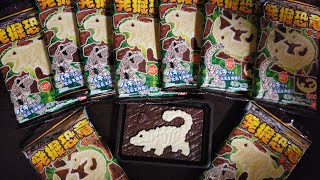 音フェチ???asmr???恐竜発掘チョコパキパキするだけ。(説明欄必読)