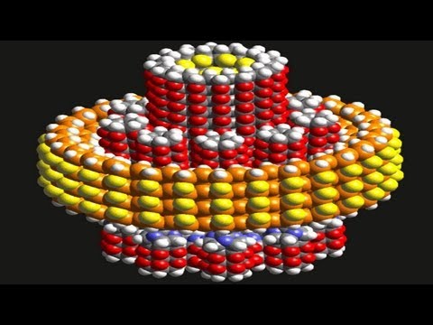 Top 10 Visions Of The World In 1000 years