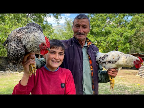 Cooking Chicken Tabaka for Family Dinner! Relaxing Village Life