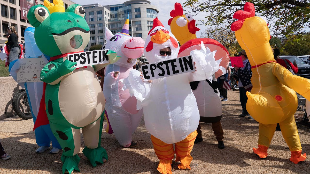 No Kings Rally DC: Protest signs and costumes