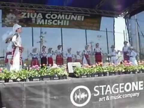 Ansamblul Doina Mischiului