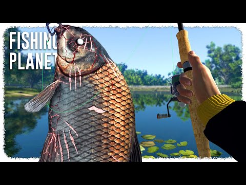 I Finally Caught the MAD-EYE BUFFALO (starter lake boss) | FISHING PLANET