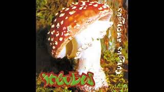 Incubus - Sink Beneath the Line