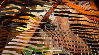 Duke Ellington &amp; Count Basie - Wild Man