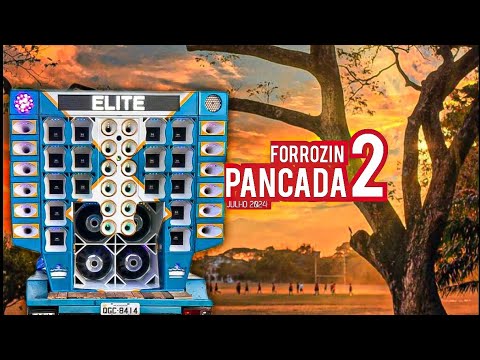 FORRÓZIN PANCADA 2 - JULHO 2024 - REPERTÓRIO 2024 - FORROZIN BARRARIA  ( RJ CDS O REI DOS FORRÓZIN )