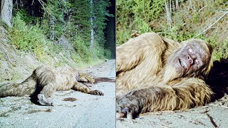 GIANT SASQUATCH ROADKILL!! | Giant Bigfoot Creature Hit By Truck At 80 MPH