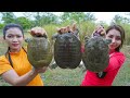 Cook Turtle Soup And Roasted With Salt Recipe Amazing Cooking