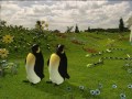 Här Kommer Teletubbies Del 6 Svenska