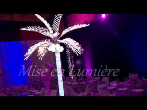 vidéo démo de salle décorée palmier lumineux mise en lumière dj smain 0612526988