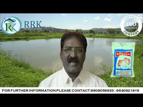 For aquaculture 20kg zeolite granules