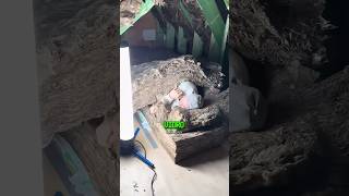 Ele Colocou Fibra de VIDRO no Papel HIGIÊNICO do AMIGO!