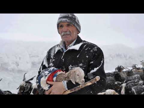 Aliye Fişenk.Havada Kar sesi var