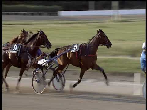 Trotto 14/09/2018 - 6ª corsa