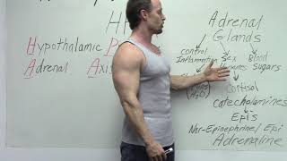 HPAA Axis/Adrenal Health