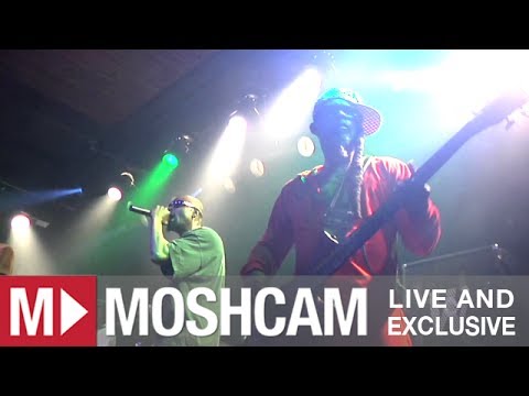 Fishbone - Lyin' Ass Bitch | Live in San Francisco | Moshcam