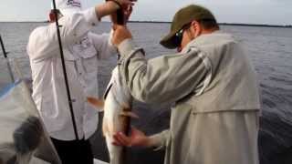 preview picture of video 'Sanibel Fishing Charters 239-246-3579 Anglers Choice Outfitters'