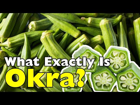 What Exactly Is Okra? Fruit or Vegetable?  [ID0918]