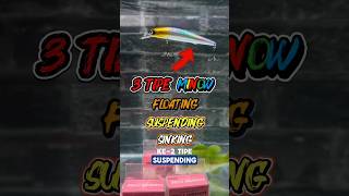 Download lagu KAMU HARUS FAHAM‼️Fungsi umpan casting minow 💥💥#casting #minow #shortsfeed  #fishingtips #shorts mp3