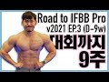 IFBB Pro 따러가기 EP.3 (D-9주) 가슴 운동 | 조초 헬스