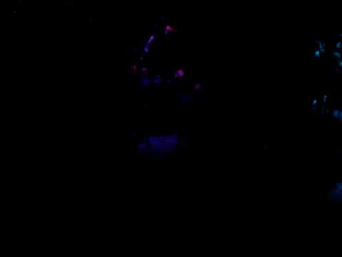 Bad Boy Bill - Falling Anthem @ Club 101