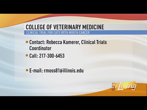 UI Clinical Study for Cats with Lung Cancer