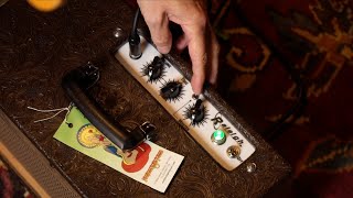 Video thumbnail for Carr Raleigh | Demo & Review by Dan at Northern Lights by Northern Lights Music