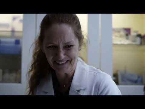 Wayward pines S01EP6 full