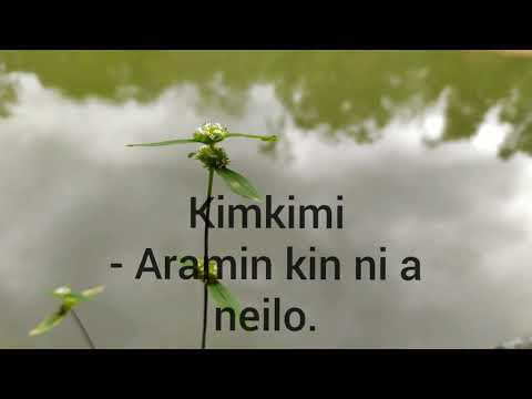Kimkimi. -Aramin kin ni a nei lo vang..