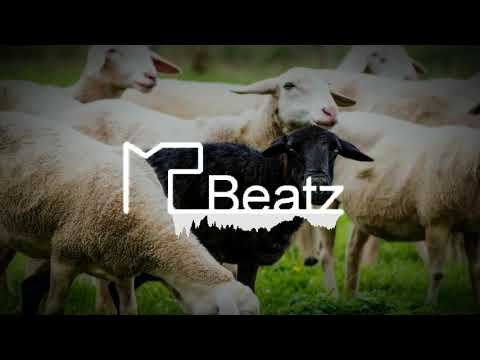 Scary Piano Type Trap Beat - B L A C K  S H E E P - MS Beatz