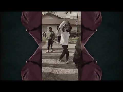 Nipsey Hussle - Tommy Gunz ft. Yung Brodee (G-Funk Remix) [Visualizer]